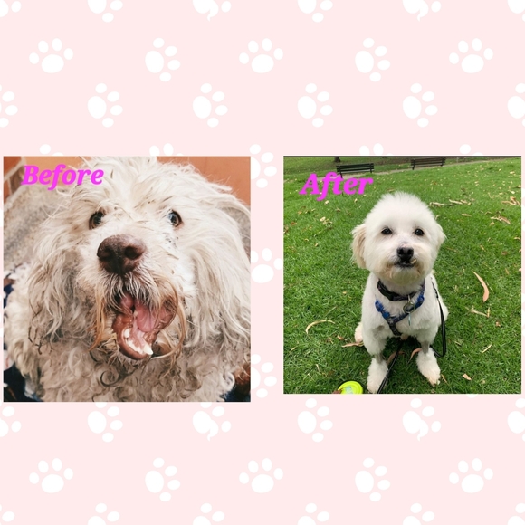 LIVE NOW ! - Picture 6 of 17